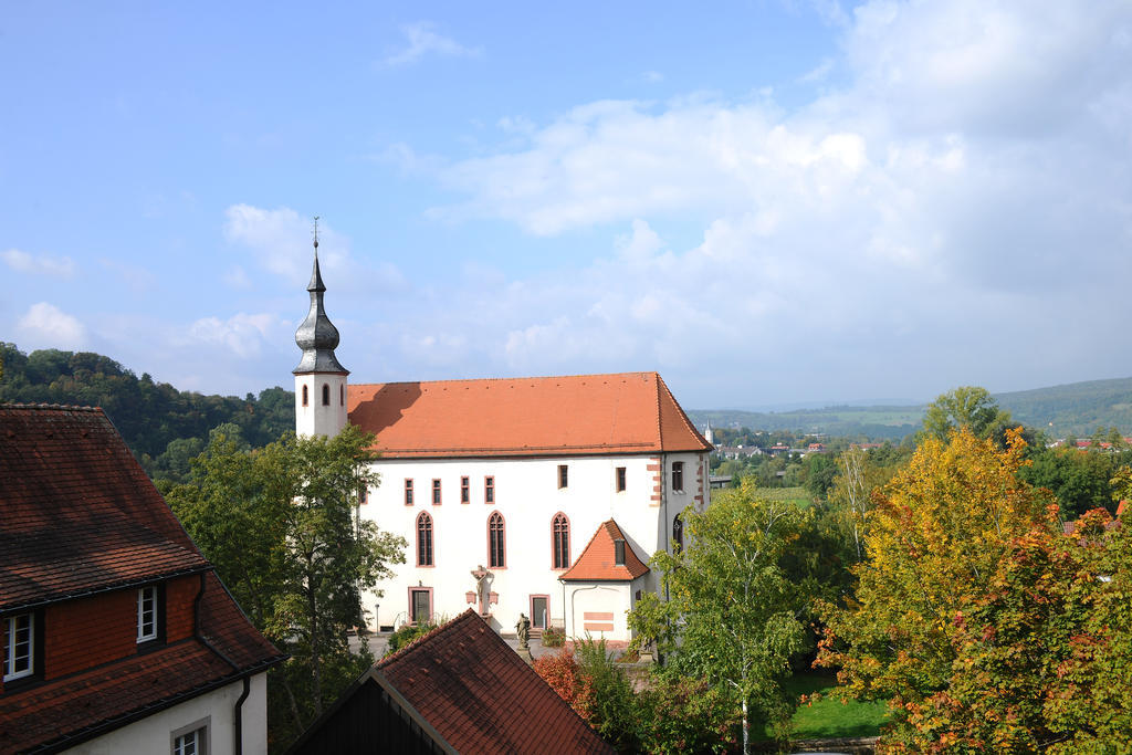 Bildungshaus Neckarelz Hotel Mosbach  Exterior foto